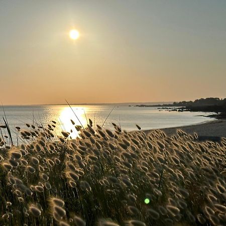 Les Suites De Bougainville Concarneau Exterior foto